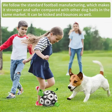 Outdoor Dog Soccer Toy