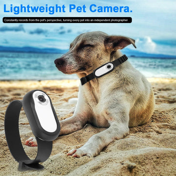 Wireless Pet Action Camera Collar
