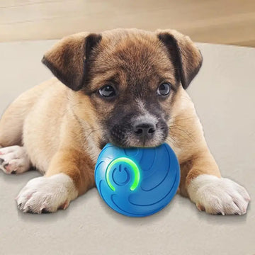 Electronic Smart Dog Ball Toy