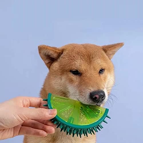 Fruit Cooling Teether Chew Toy