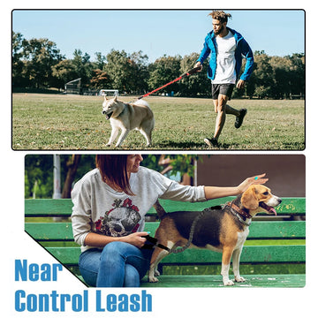 Elastic Reflective Pet Leash