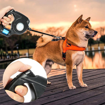 Automatic Leash With Garbage Bag