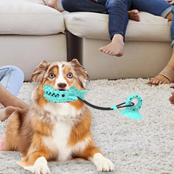 Tug Of War Dog Suction Toy