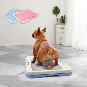 Portable Pet Training Toilet Tray