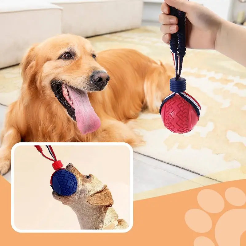 Interactive Ball Rope Chew Toy
