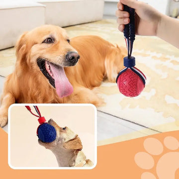 Interactive Ball Rope Chew Toy