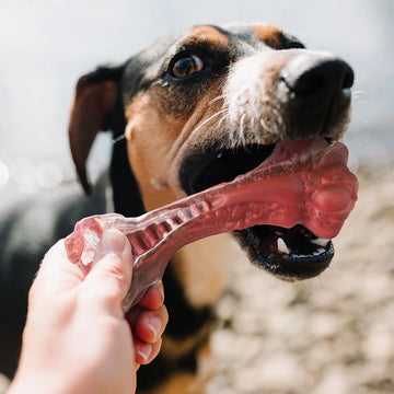 Bone-Shaped Dog Chewers