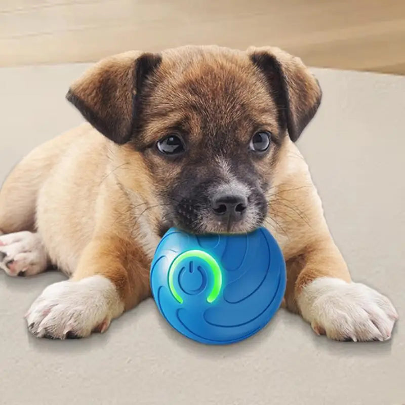 Electronic Smart Dog Ball Toy