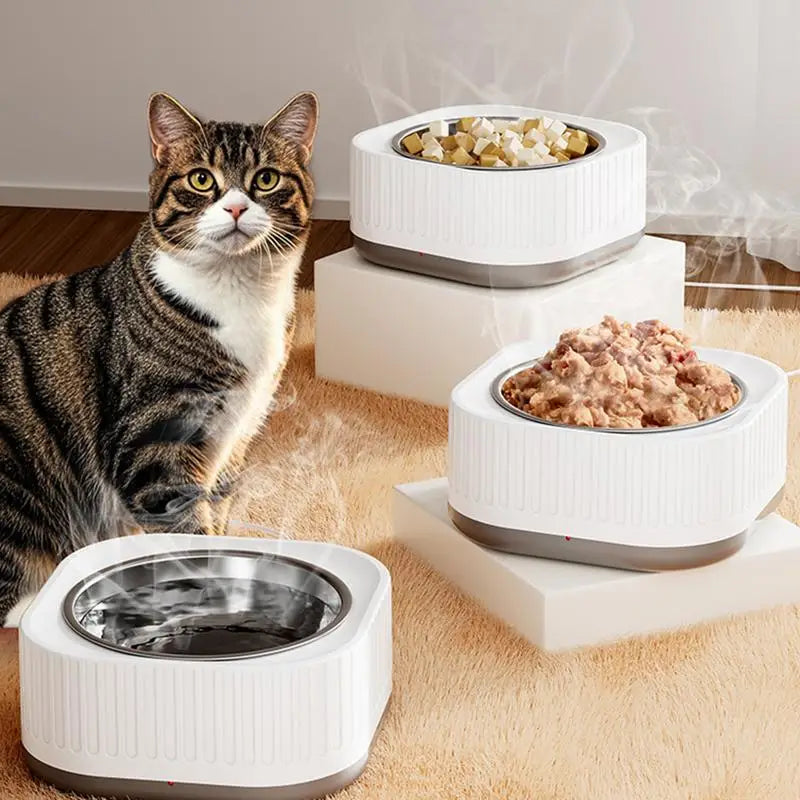 Thermostatic Pet Feeding Bowl