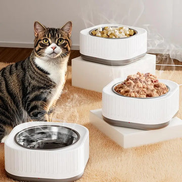 Thermostatic Pet Feeding Bowl